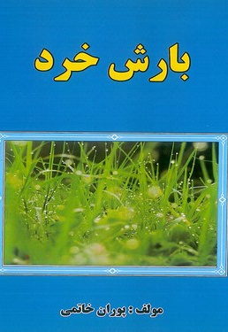 بارش خرد